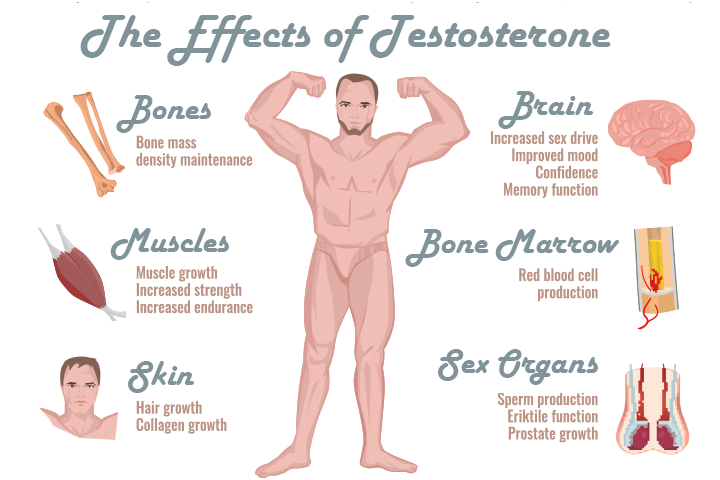 How Testosterone Levels Impact Your Body And Mind