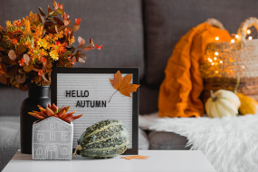 fall scene