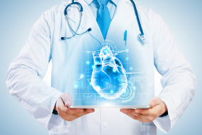 doctor holding cardiovascular heart model