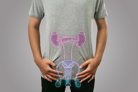 prostate cancer illustration