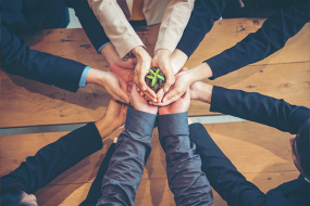 hands holding a growing plant