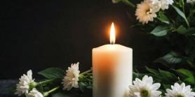 white candle and daisies on dark background