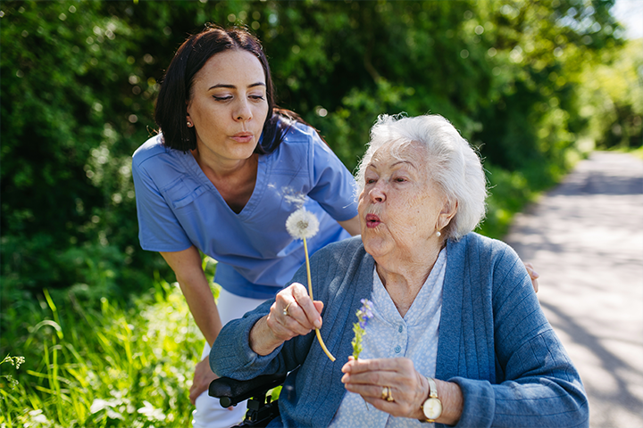 alzheimers-dandelion