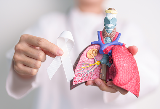 doctor holding lung model and cancer ribbon