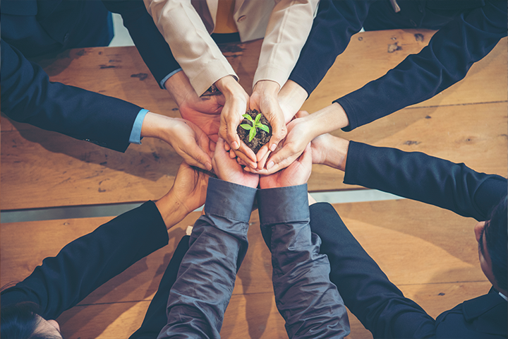 hands holding a growing plant