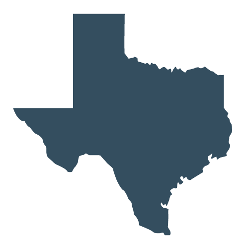 texas icon