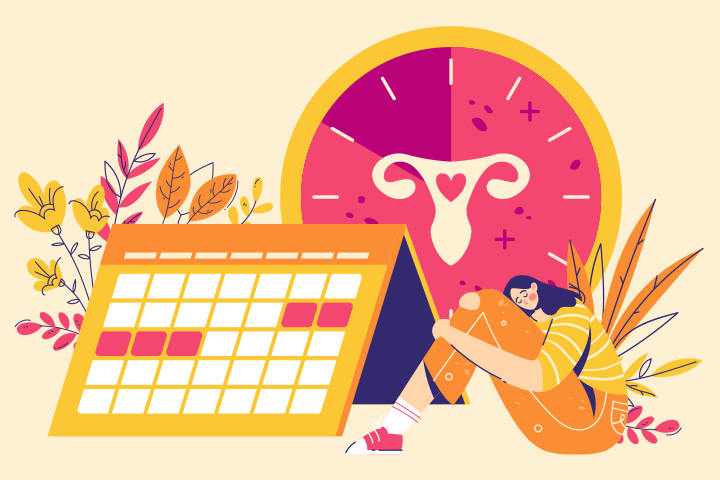illustration of monthly cycle calendar
