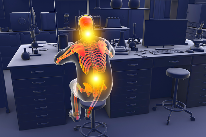graphic of back muscles