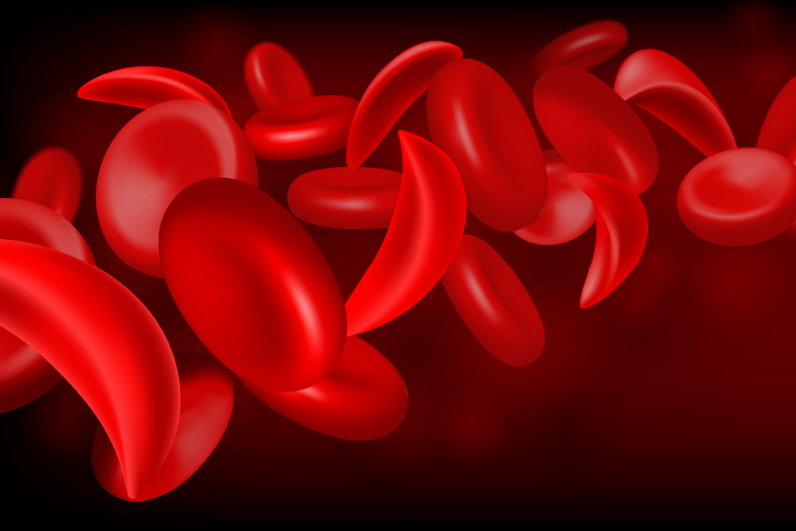 disc-shaped blood cells