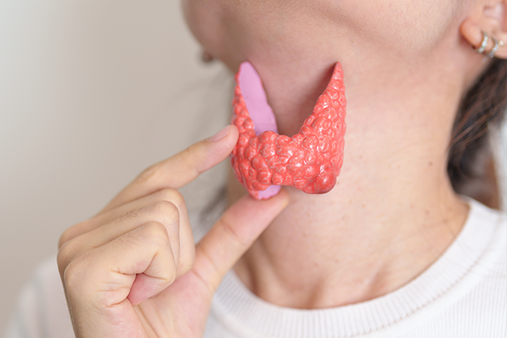 thyroid-2.png