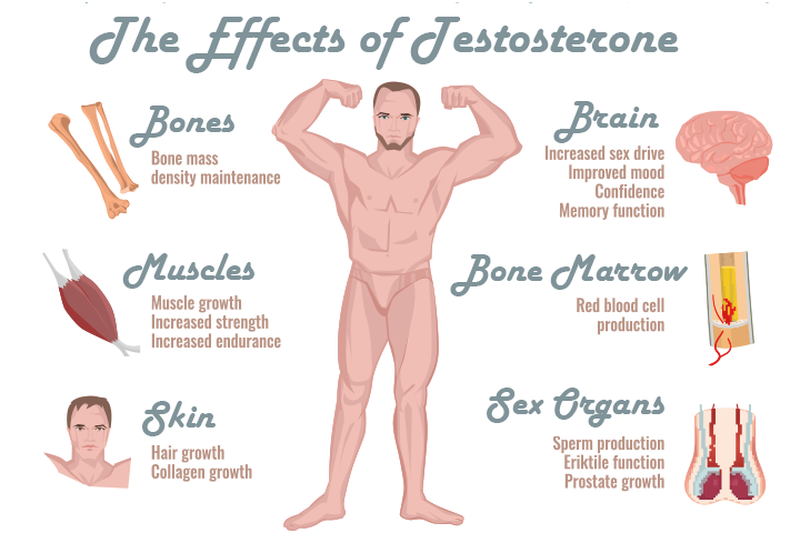 effects of low testosterone
