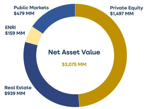 Donut chart showing yellow and blue segments for Net Asset Value